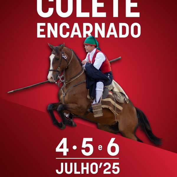 Cartaz 2025