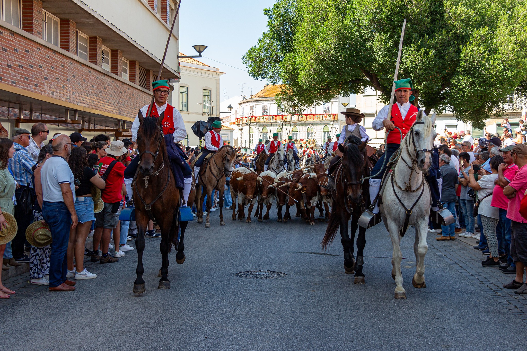 Desfile de Campinos, Cavaleiros, Amazonas e Tertúlias