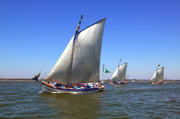 Partida do Cruzeiro/Regata da Moita - Vila Franca de Xira / Moita