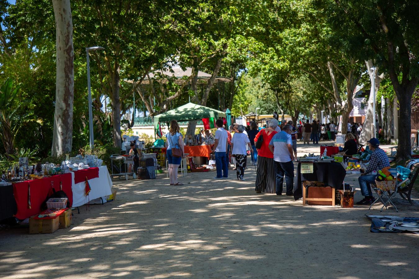 Feira de Velharias, Colecionismo e Artesanato Urbano