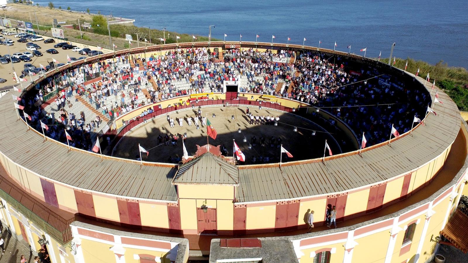Corrida de Toiros
