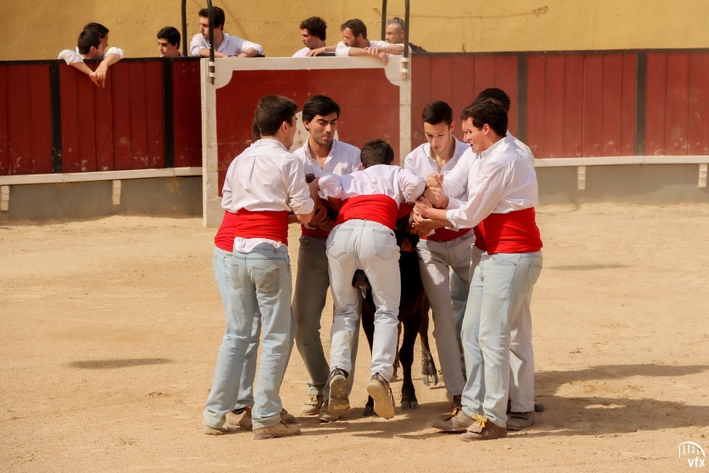 Treino prático com o grupo de Forcados Amadores de Vila Franca de Xira